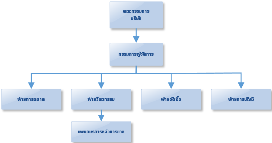 Organization Structure Organization Structure
